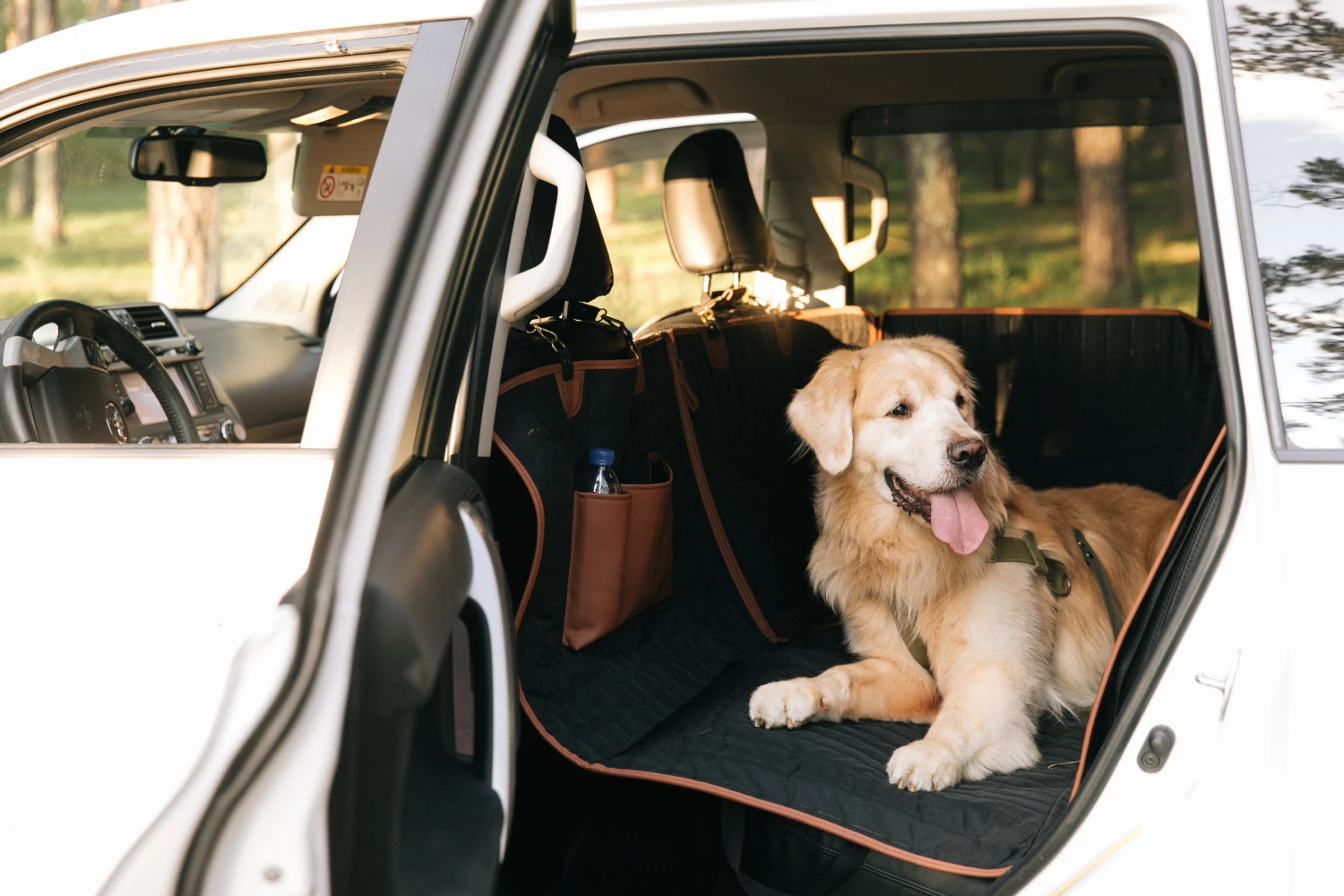 Pet Seat Cover for Ram Truck