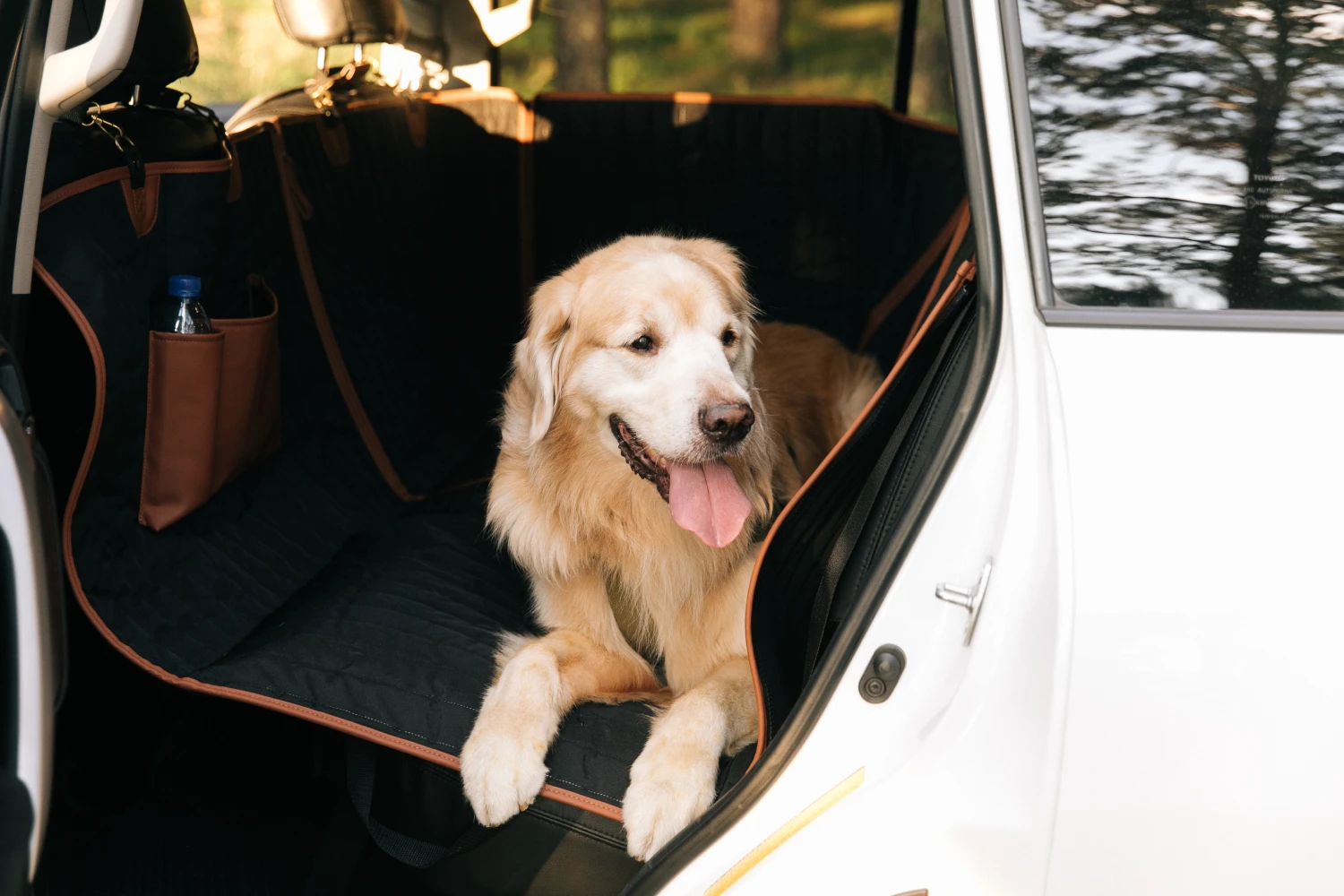 Subaru Forester Back Seat Cover for Nova Scotia Retrievers