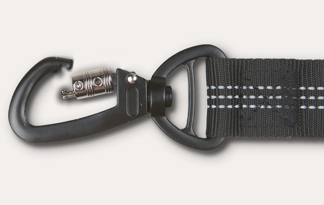 Brittanys Dog Car Seat Belt for Ford Fusion